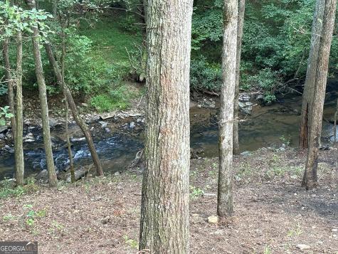 396 Mt Springer Road Ellijay GA 30540