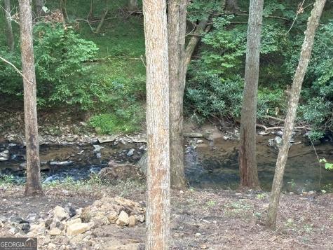 396 Mt Springer Road Ellijay GA 30540
