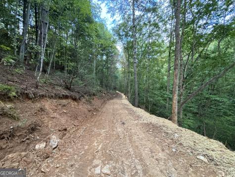 396 Mt Springer Road Ellijay GA 30540