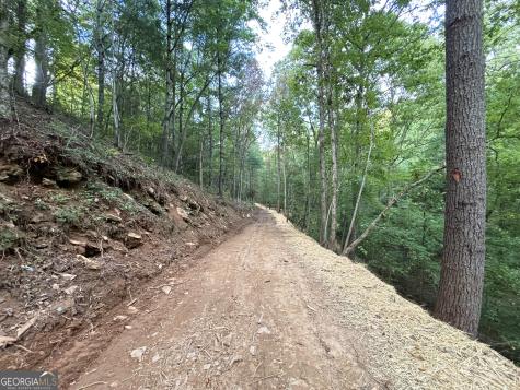 396 Mt Springer Road Ellijay GA 30540