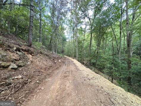 396 Mt Springer Road Ellijay GA 30540