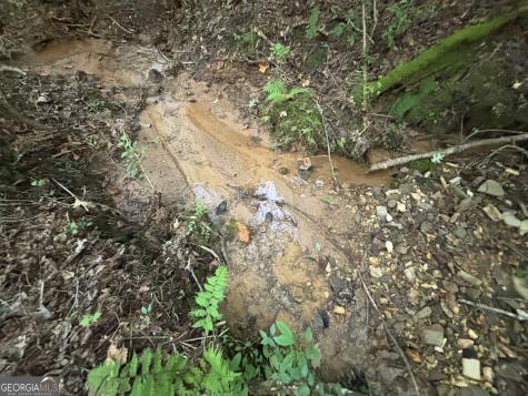 396 Mt Springer Road Ellijay GA 30540