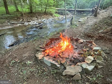 396 Mt Springer Road Ellijay GA 30540