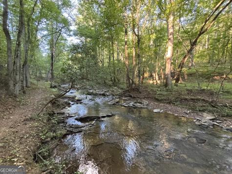396 Mt Springer Road Ellijay GA 30540