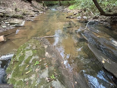 396 Mt Springer Road Ellijay GA 30540