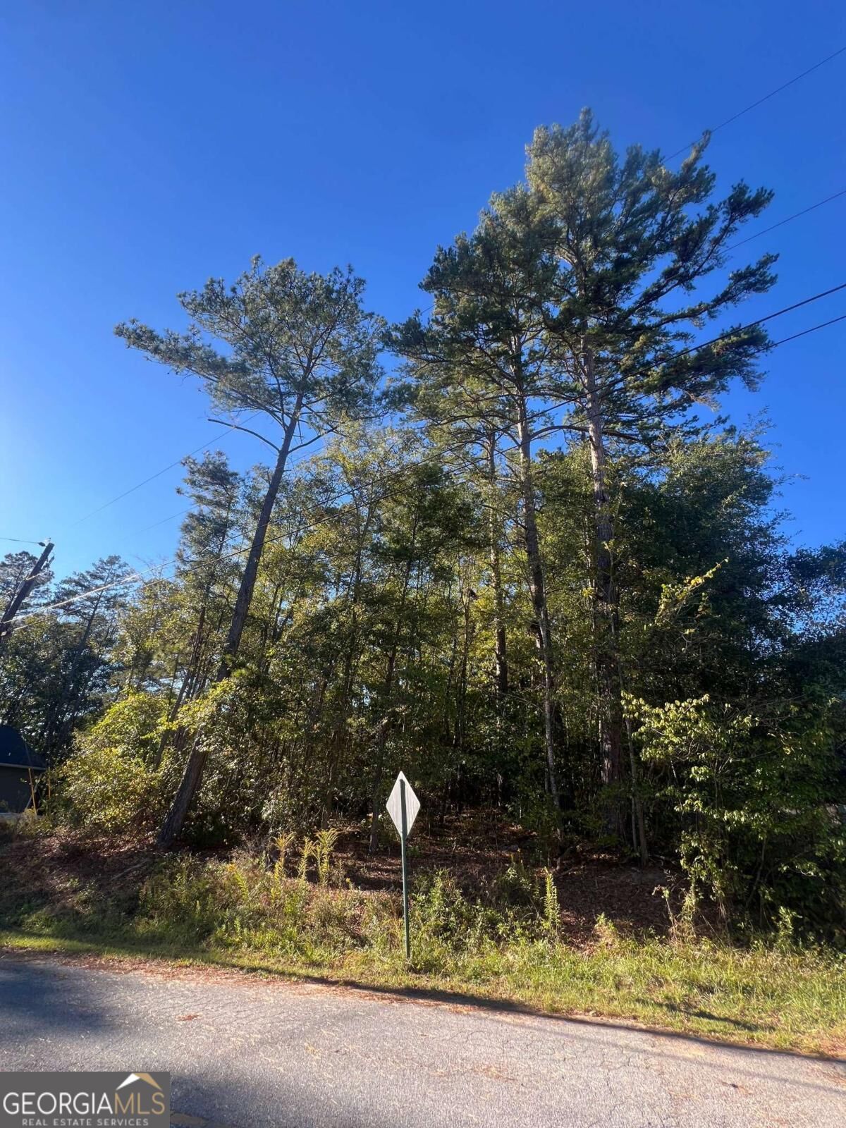 0 Bryant Circle Cedartown GA 30125