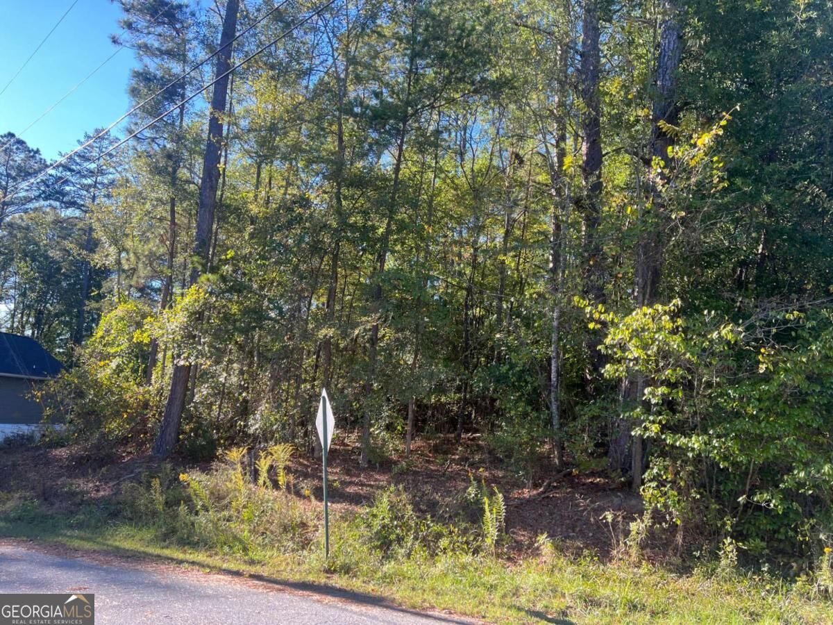 0 Bryant Circle Cedartown GA 30125