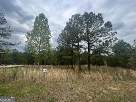 Lot 65 Village Loop Blairsville GA 30512