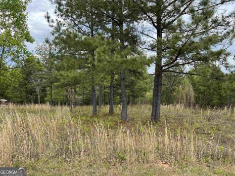 Lot 65 Village Loop Blairsville GA 30512
