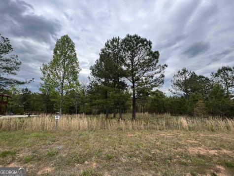 Lot 65 Village Loop Blairsville GA 30512
