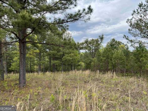 Lot 65 Village Loop Blairsville GA 30512