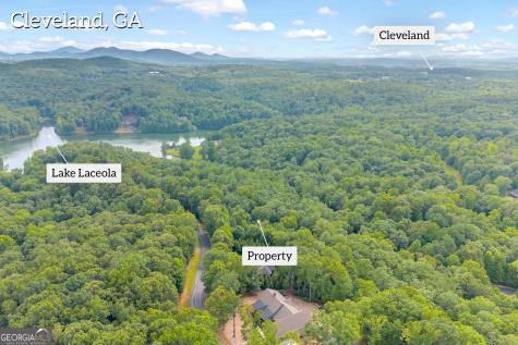 25 Forked Leaf Road Cleveland GA 30528