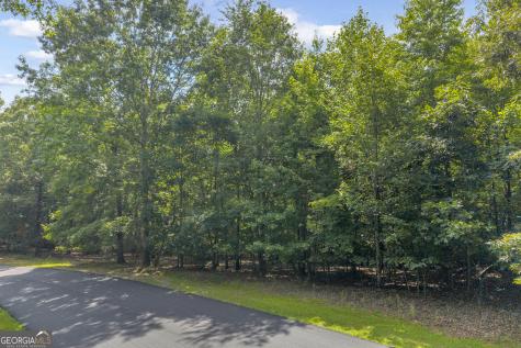 25 Forked Leaf Road Cleveland GA 30528
