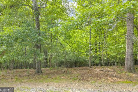 25 Forked Leaf Road Cleveland GA 30528