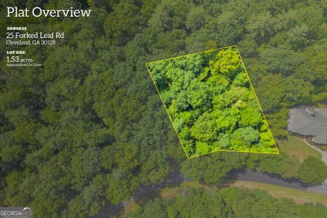 25 Forked Leaf Road Cleveland GA 30528