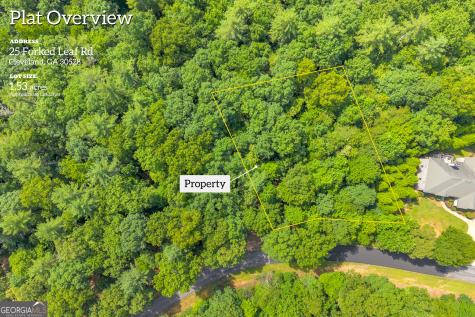 25 Forked Leaf Road Cleveland GA 30528