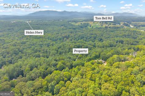 25 Forked Leaf Road Cleveland GA 30528