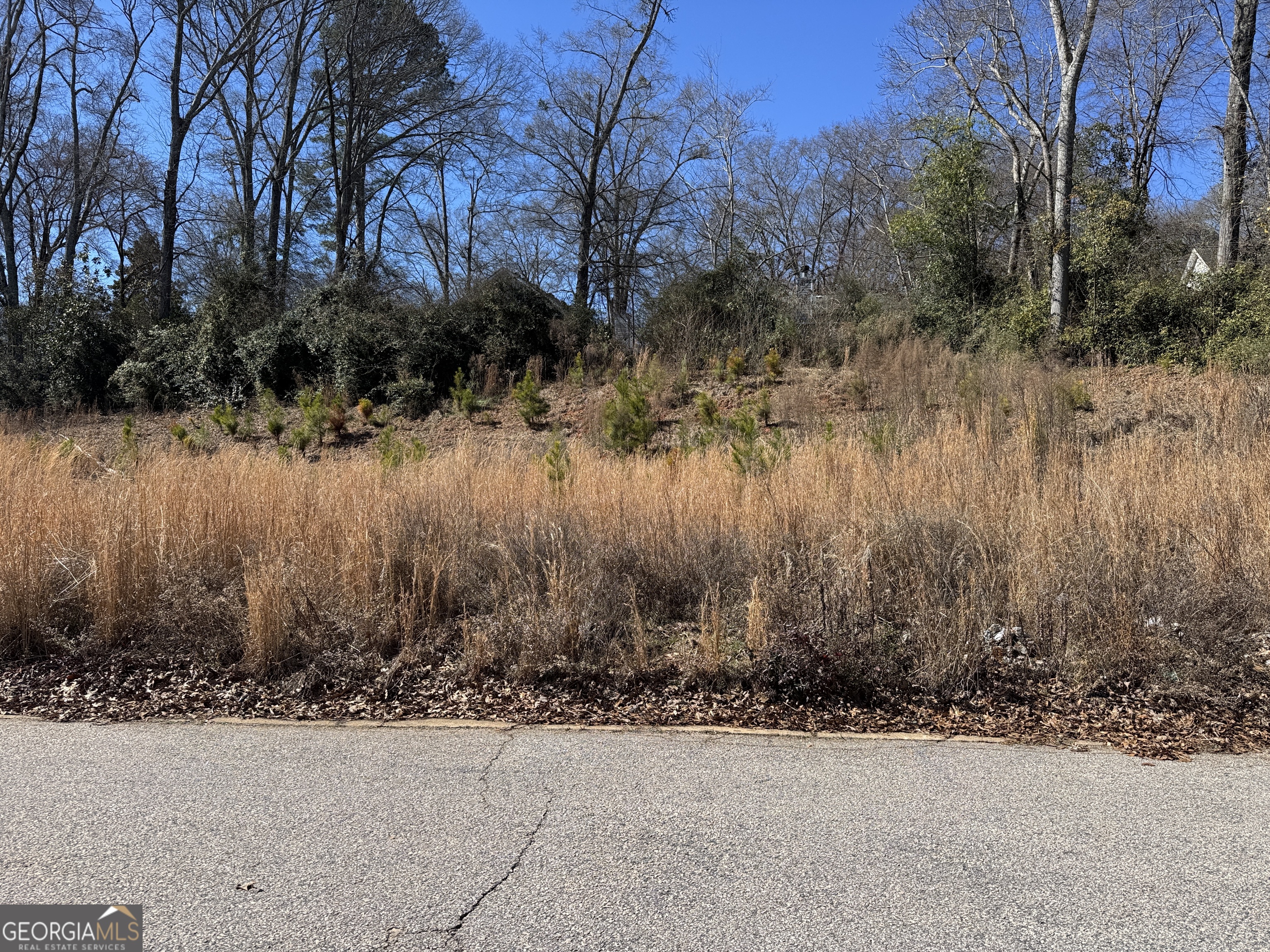 312 Duck Walk Way Hogansville GA 30230