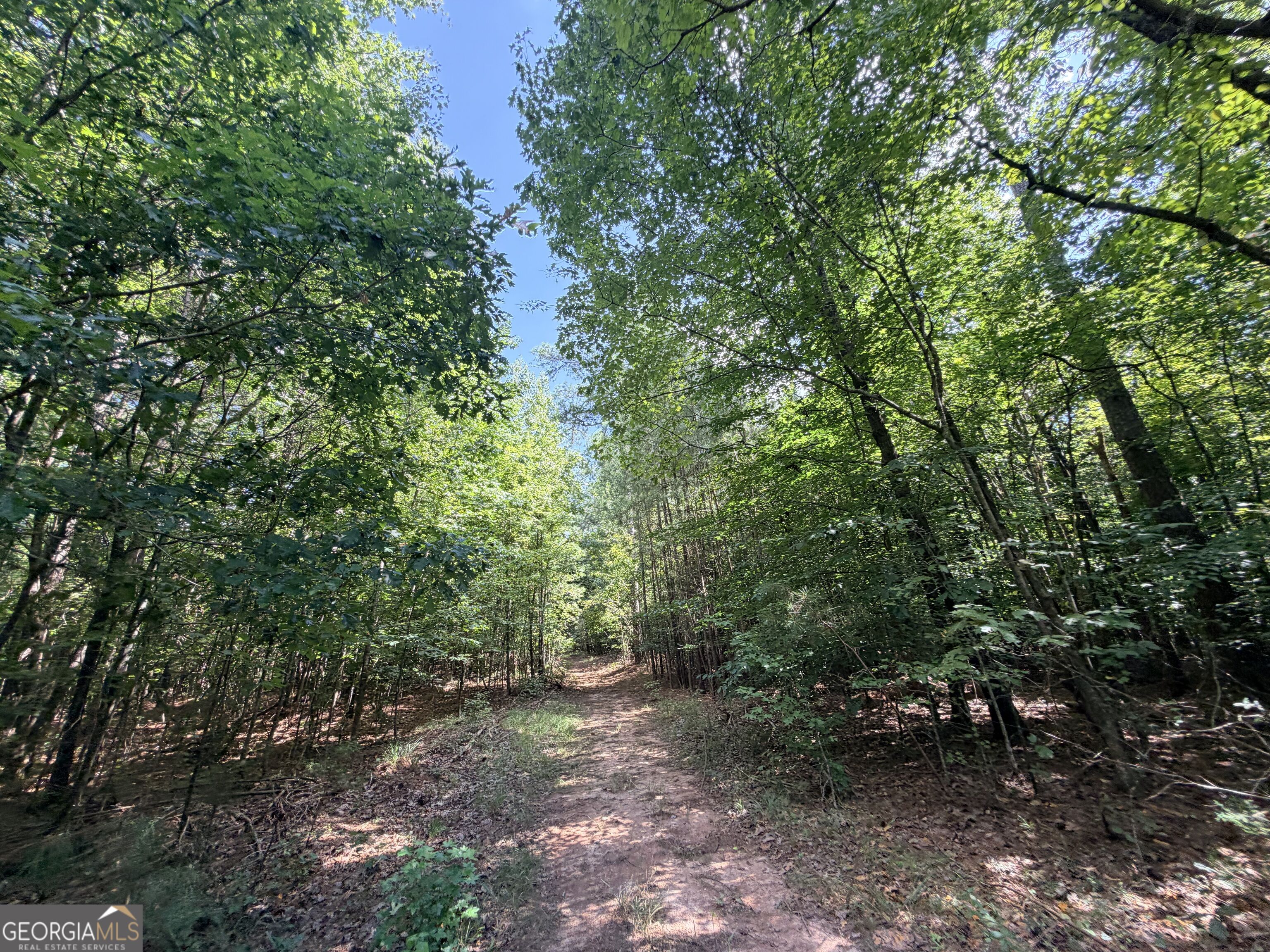 8 Bunch Road Tignall GA 30668