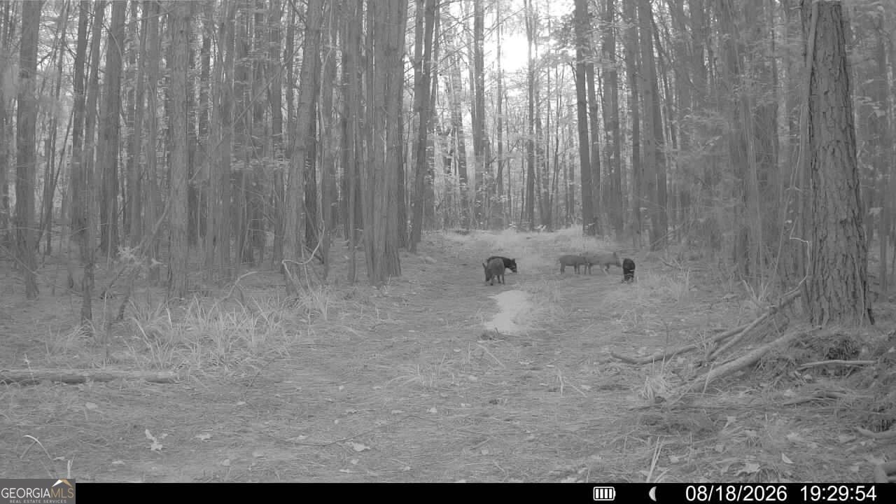 8 Bunch Road Tignall GA 30668