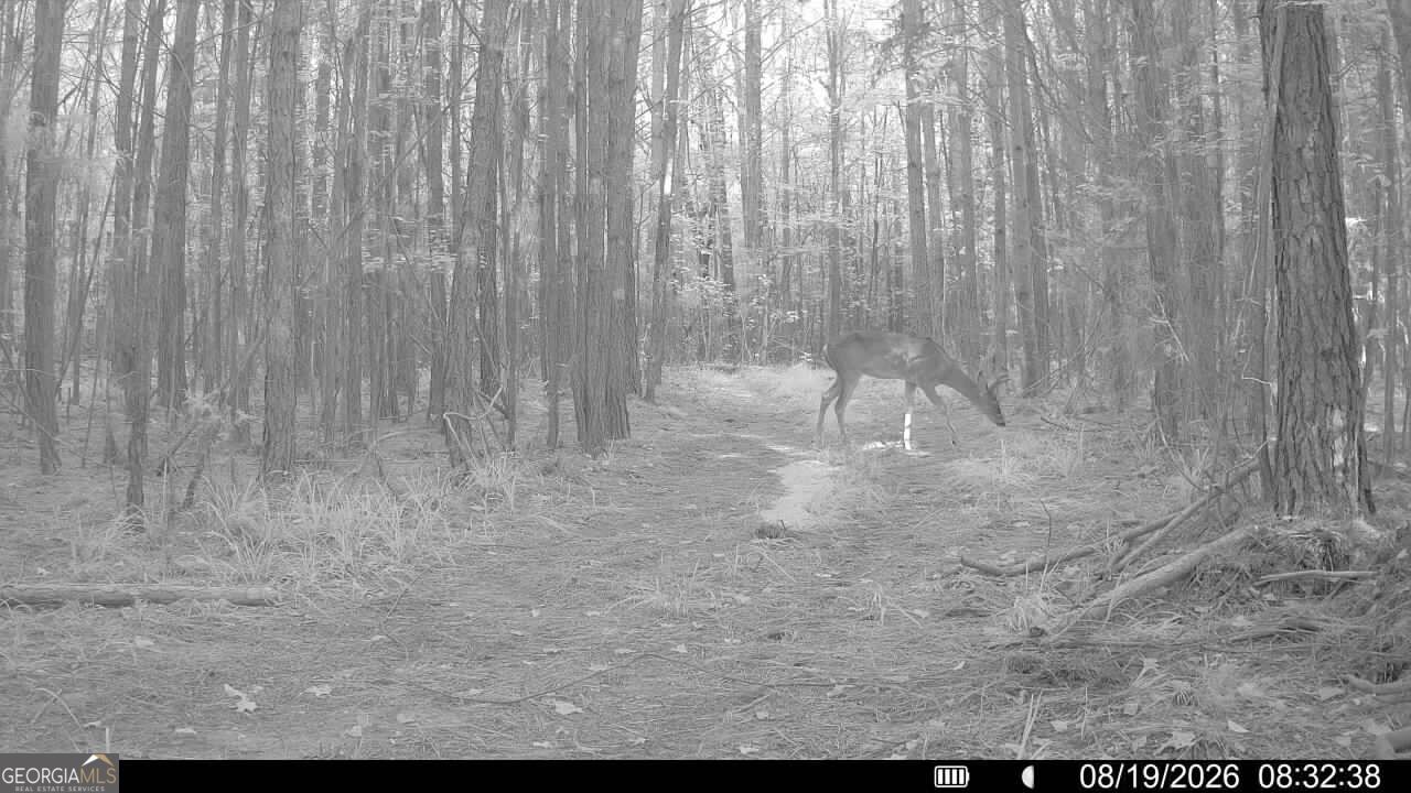 8 Bunch Road Tignall GA 30668