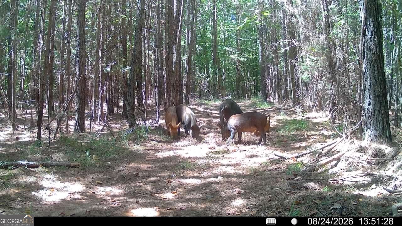 8 Bunch Road Tignall GA 30668