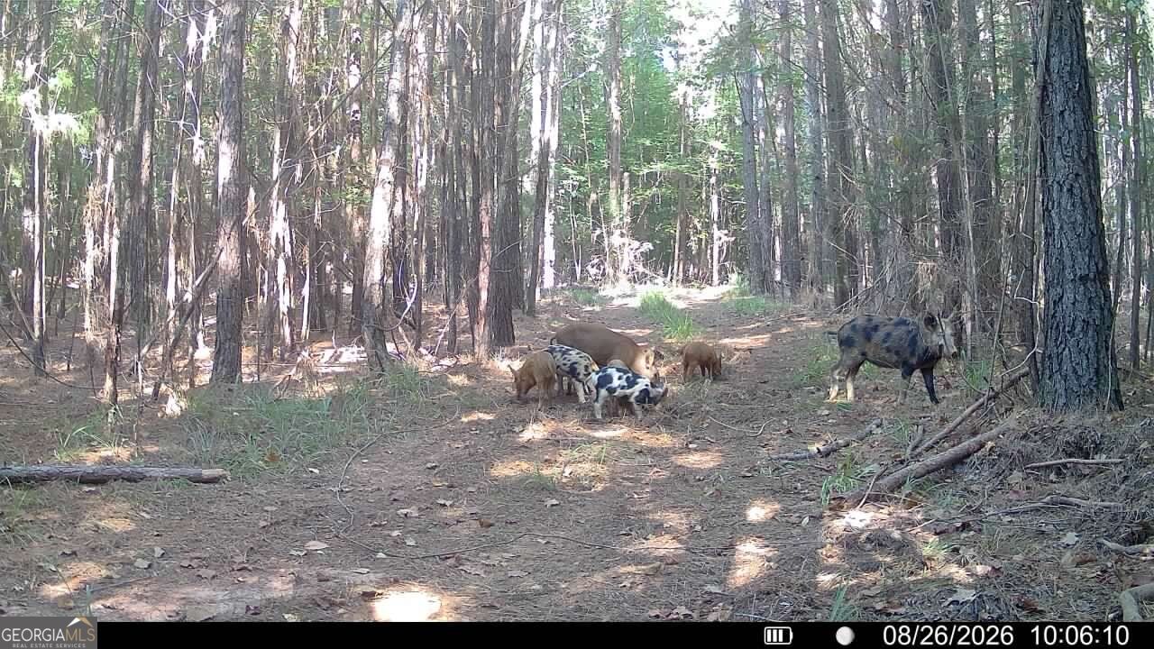 8 Bunch Road Tignall GA 30668