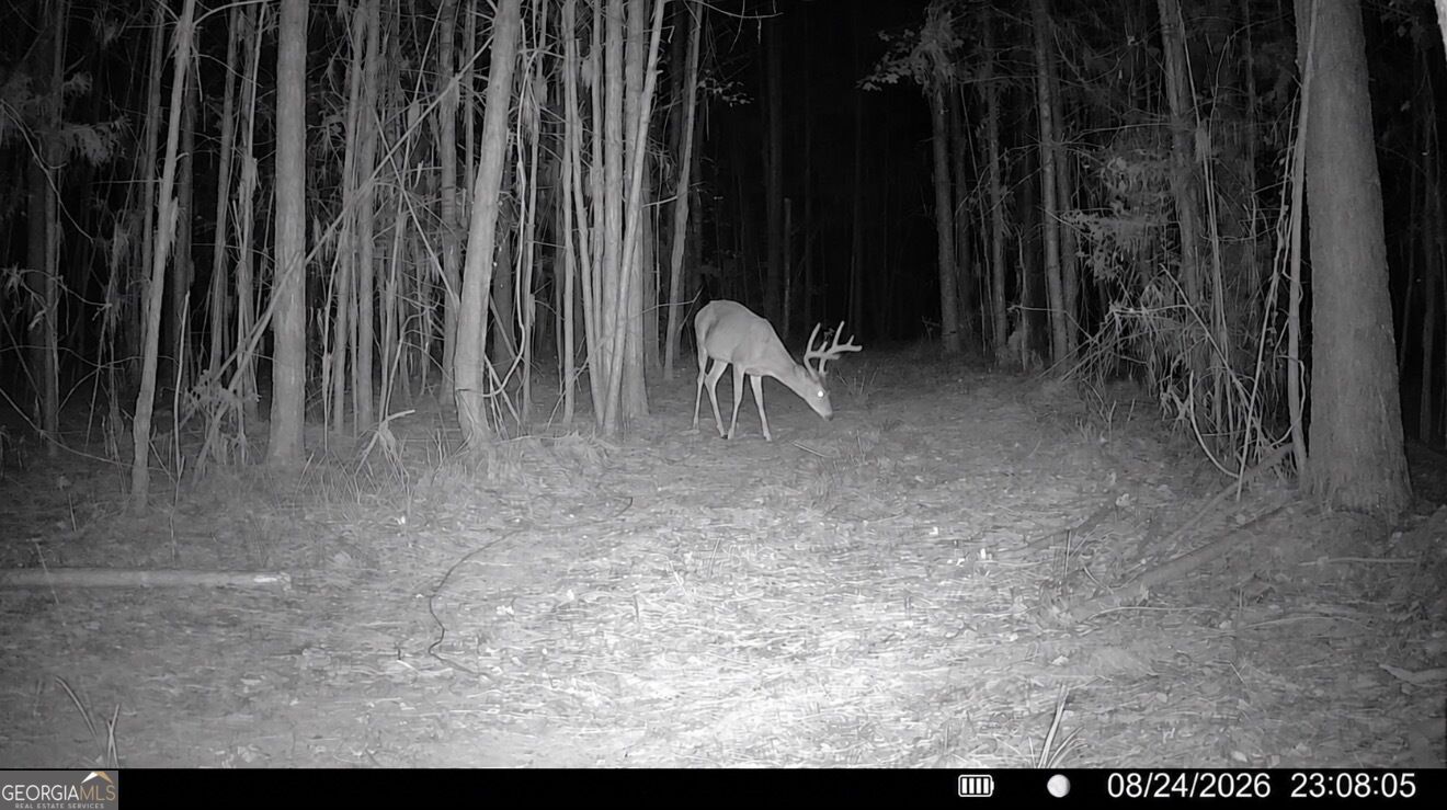 8 Bunch Road Tignall GA 30668