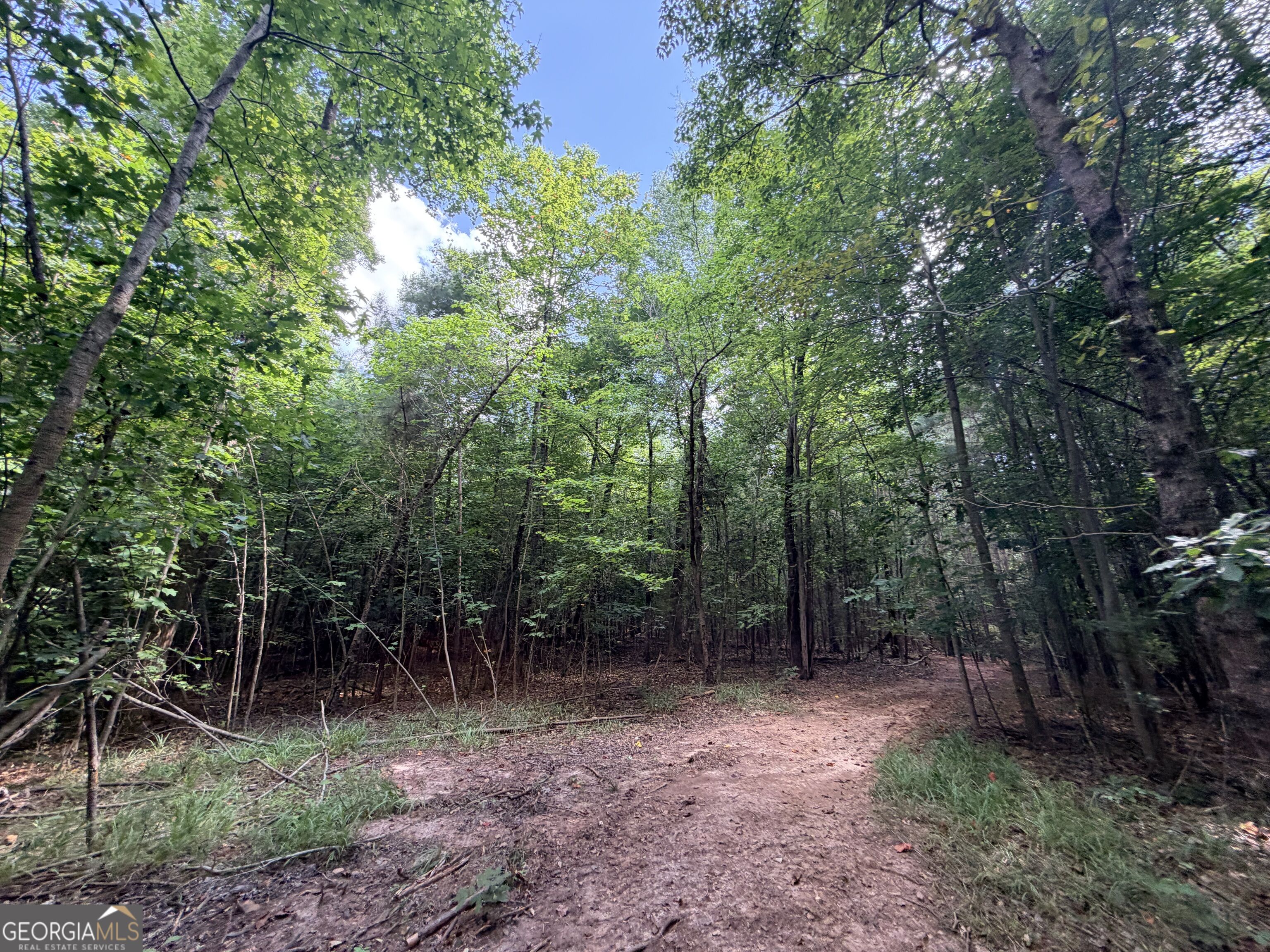 8 Bunch Road Tignall GA 30668