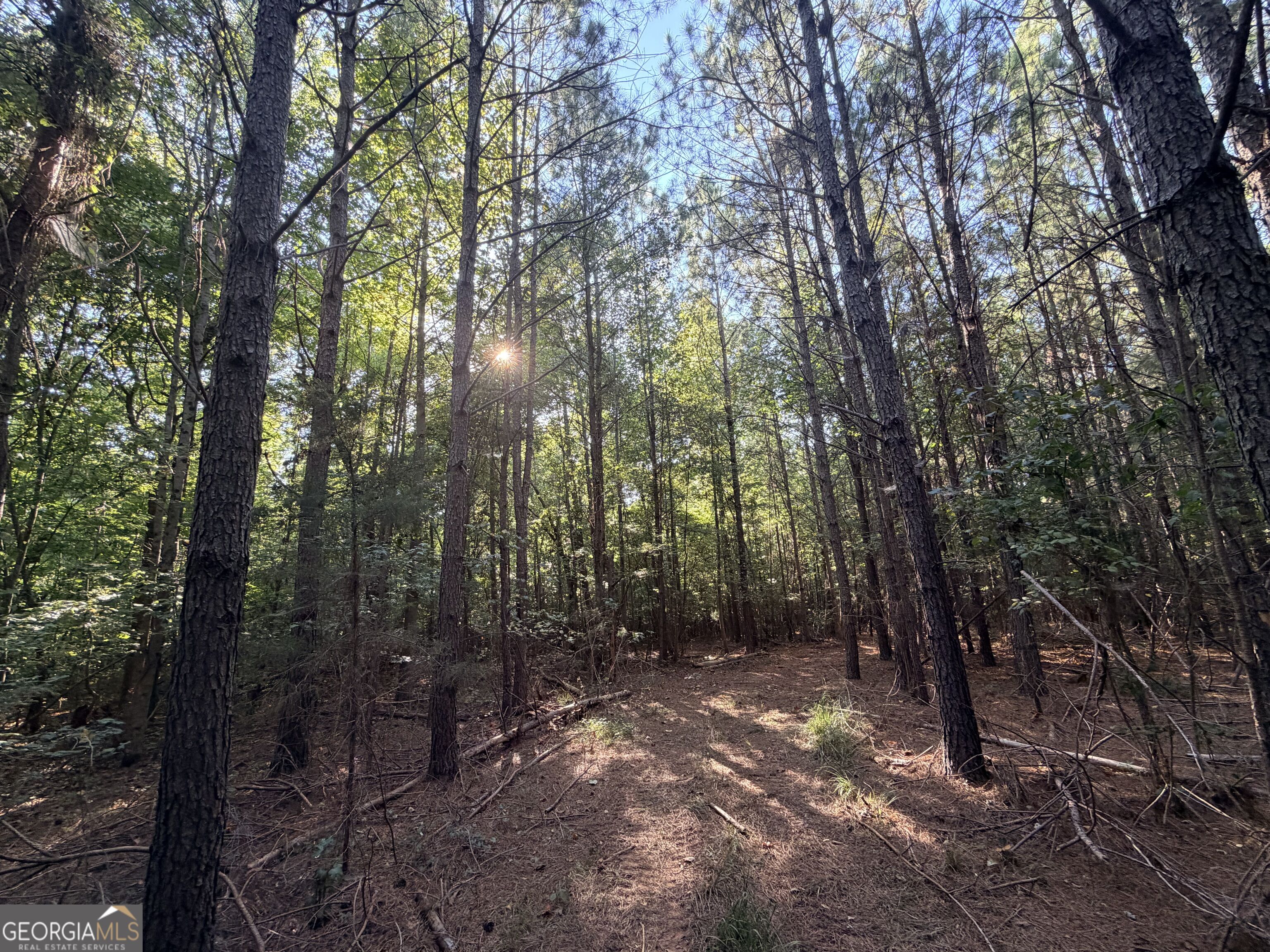 8 Bunch Road Tignall GA 30668