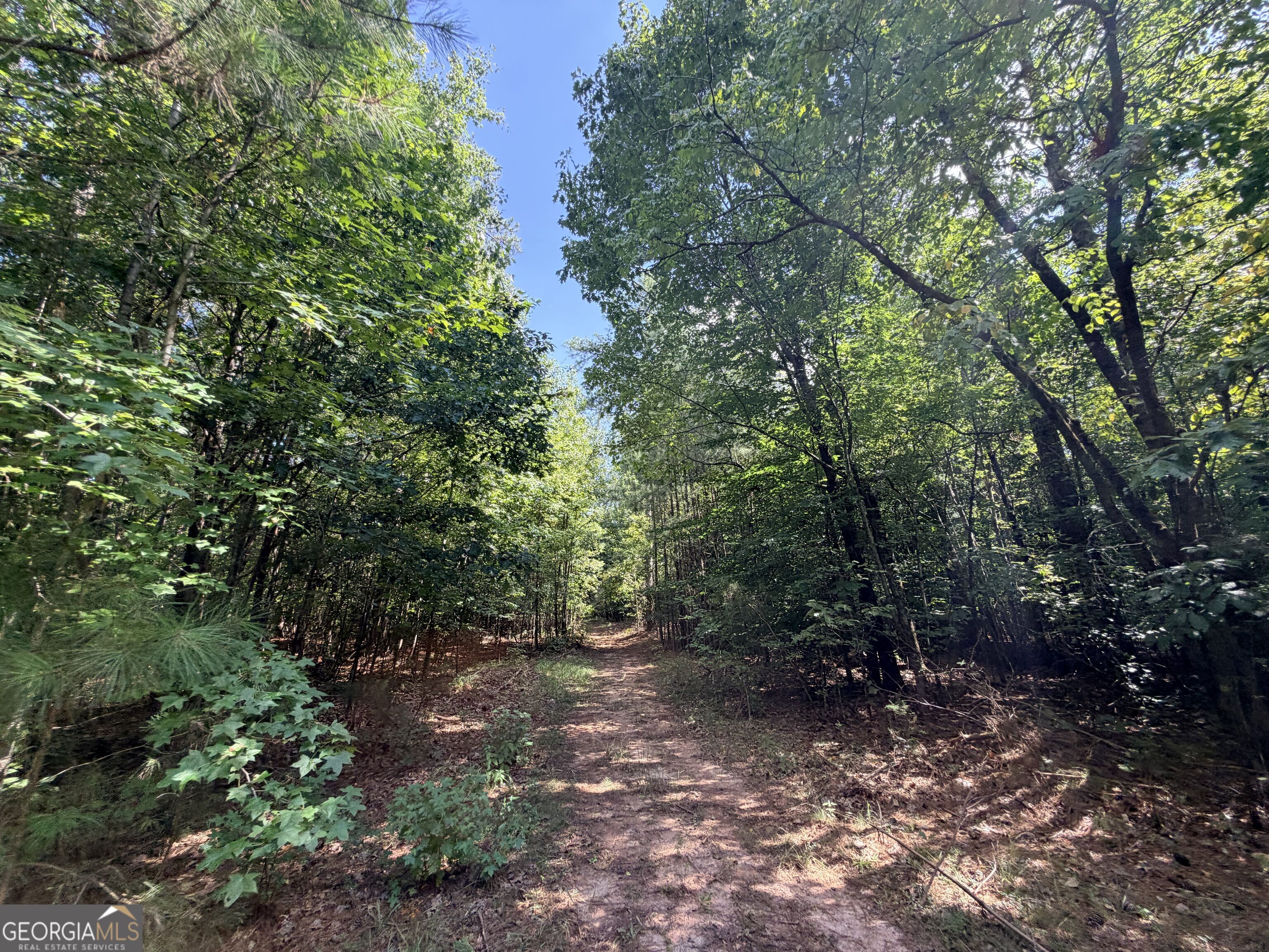 8 Bunch Road Tignall GA 30668
