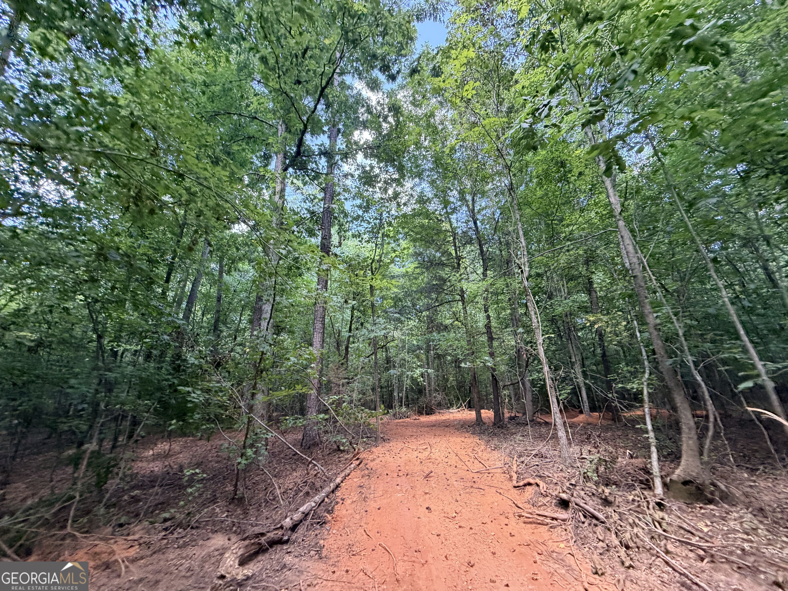 8 Bunch Road Tignall GA 30668
