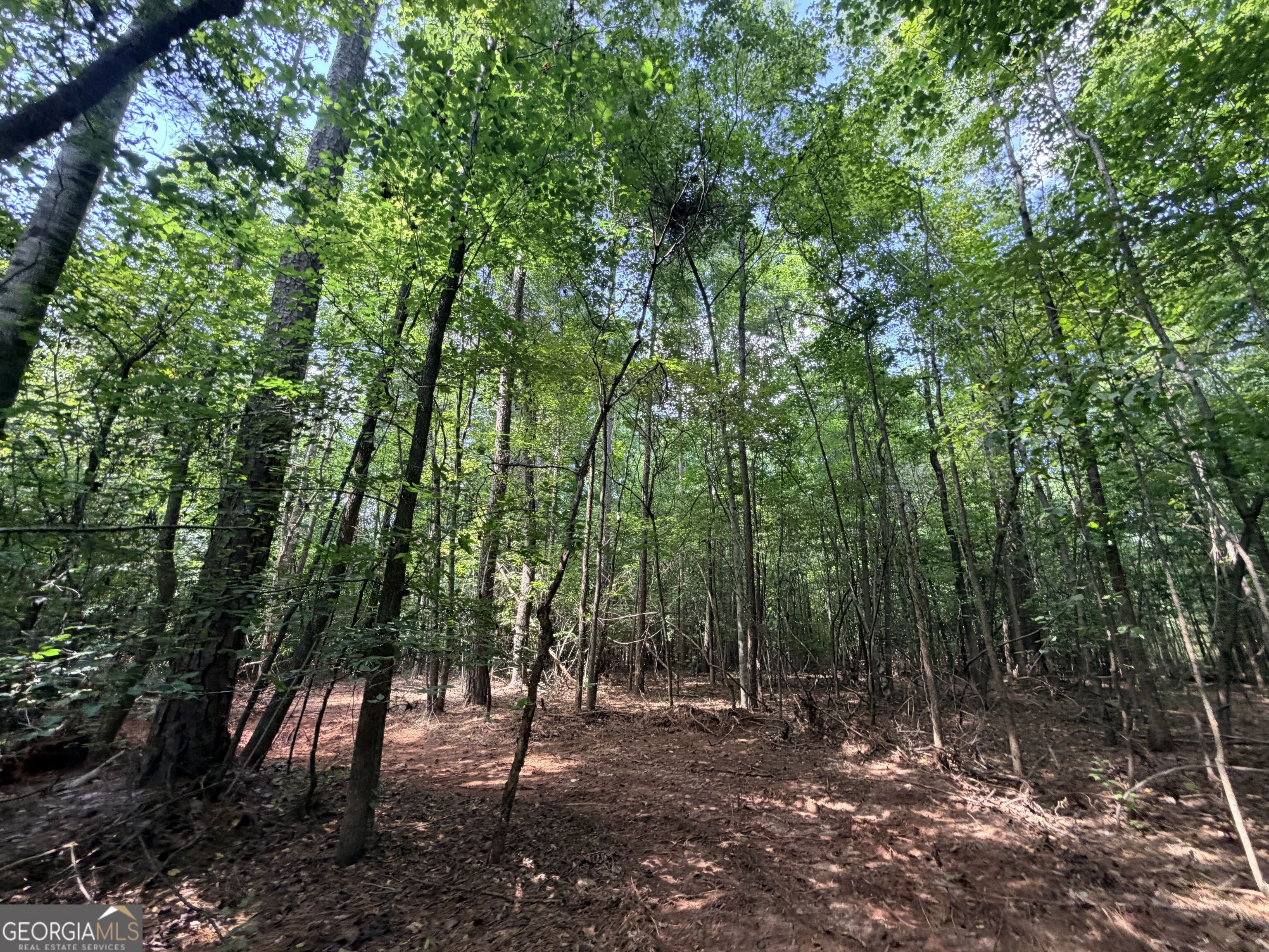 8 Bunch Road Tignall GA 30668