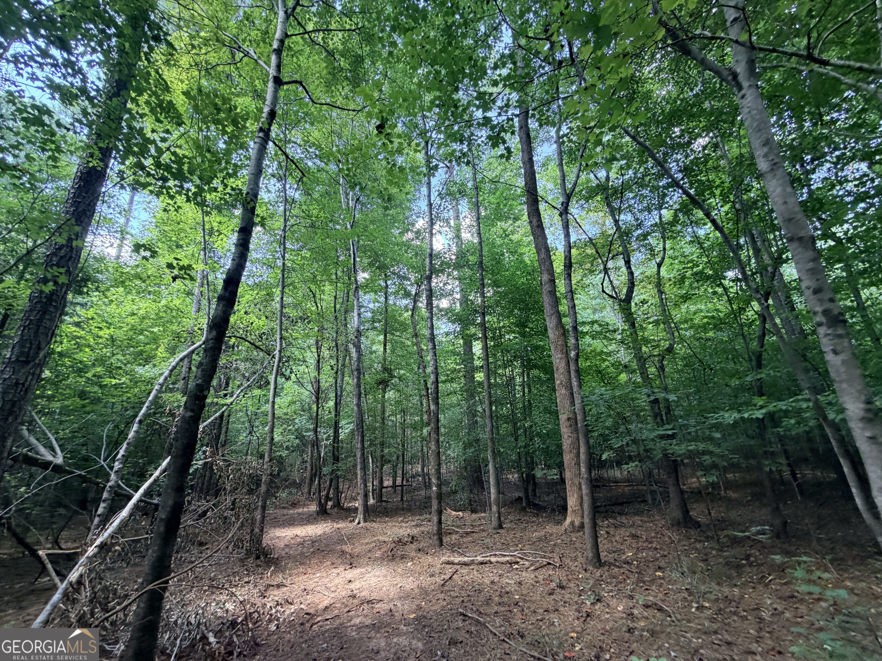 8 Bunch Road Tignall GA 30668