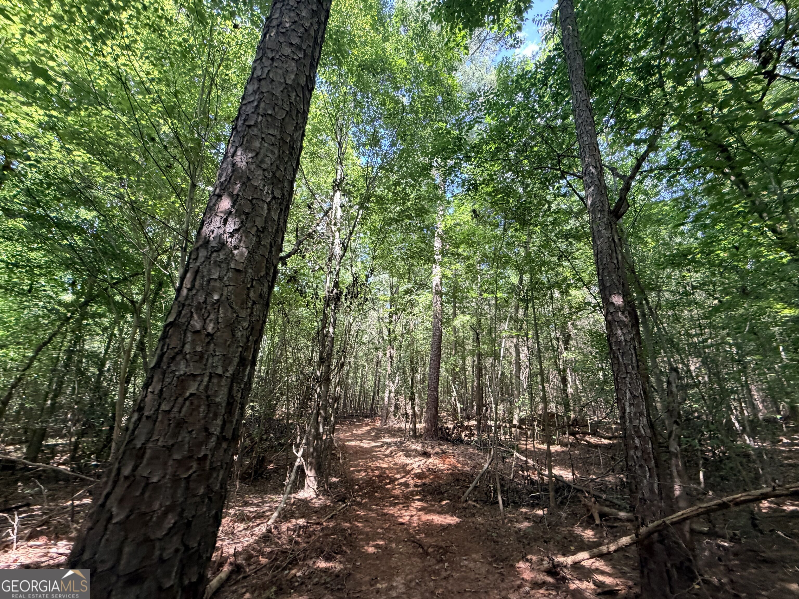 8 Bunch Road Tignall GA 30668