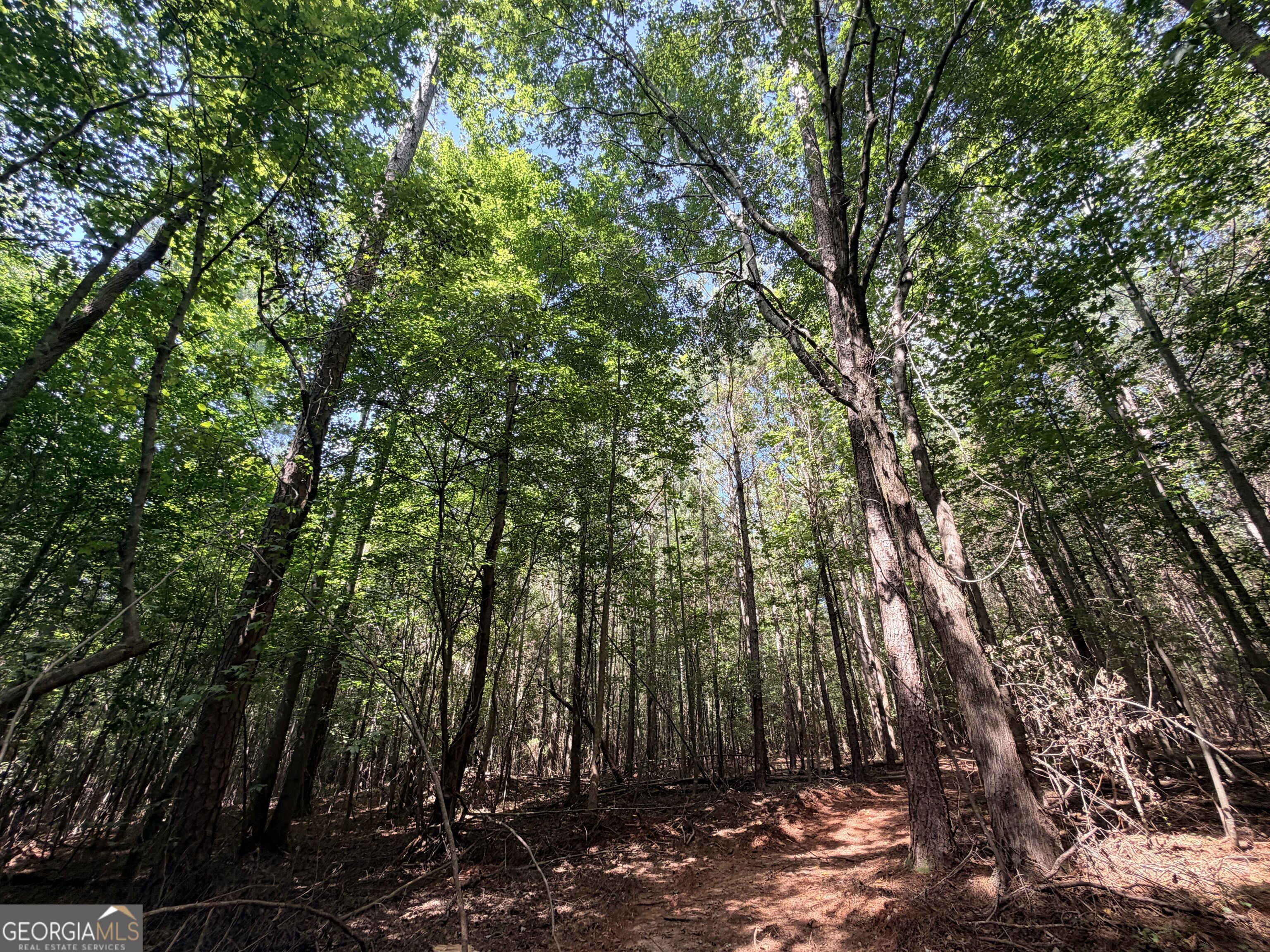 8 Bunch Road Tignall GA 30668