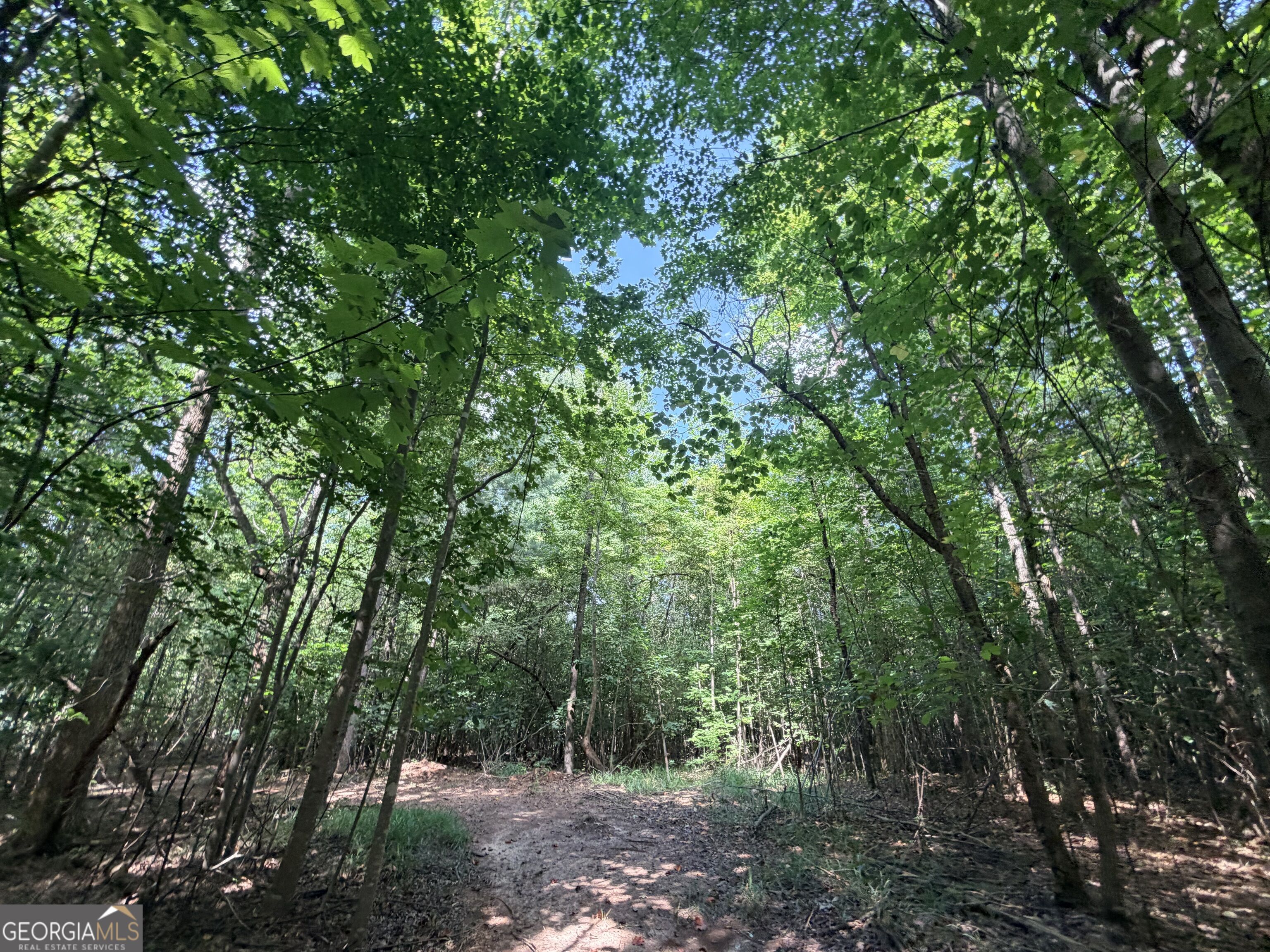 8 Bunch Road Tignall GA 30668
