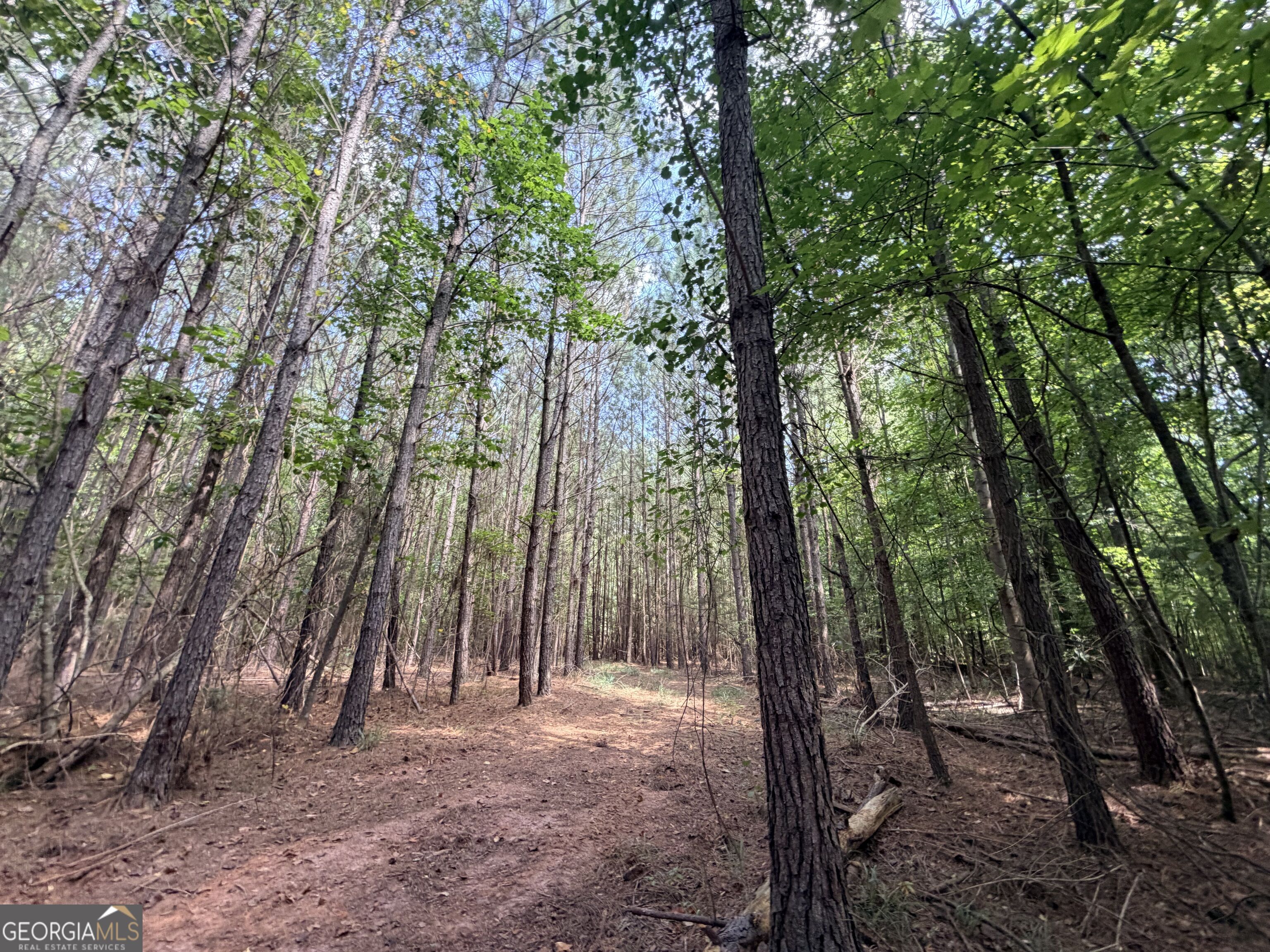 8 Bunch Road Tignall GA 30668