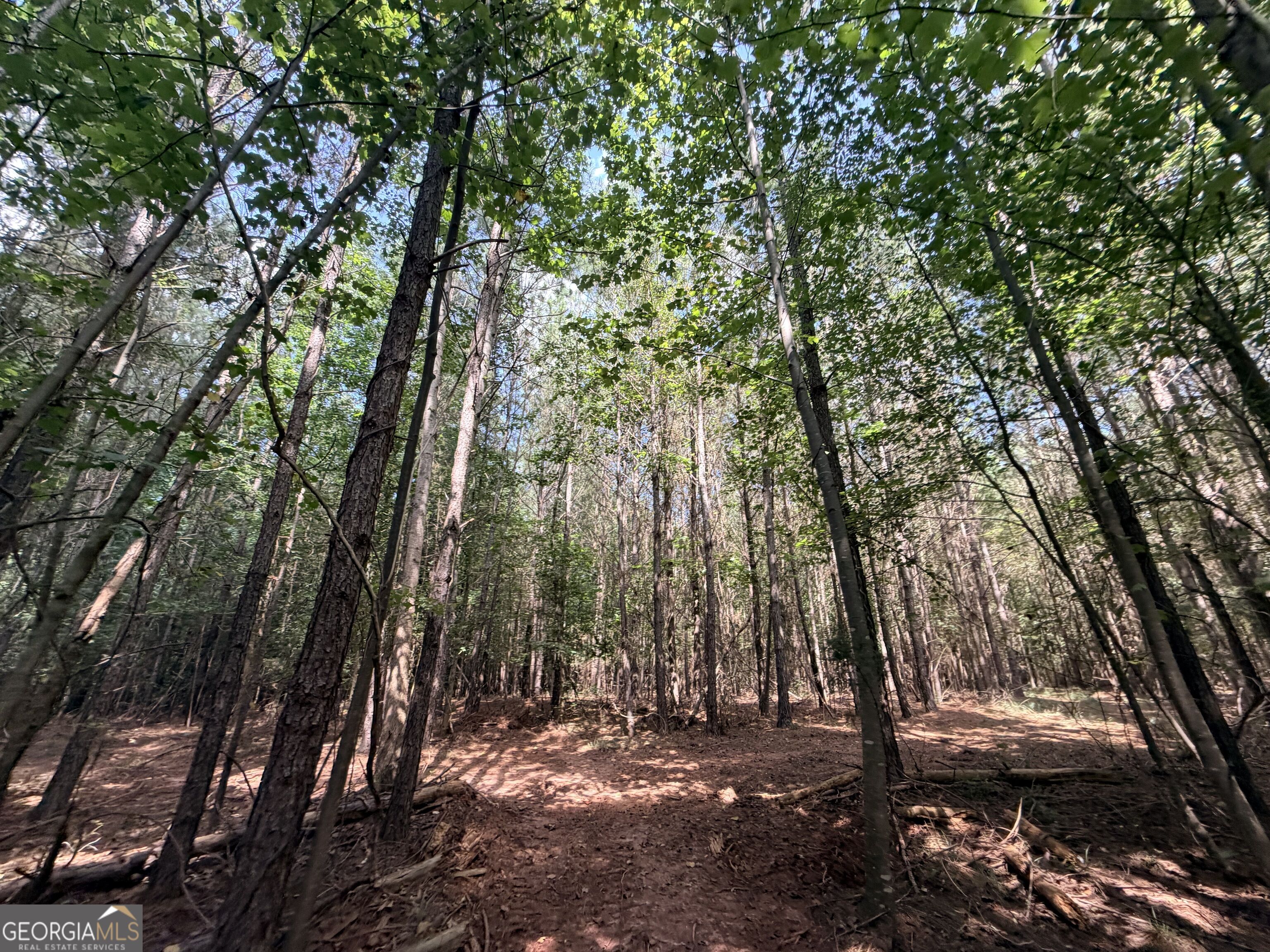 8 Bunch Road Tignall GA 30668