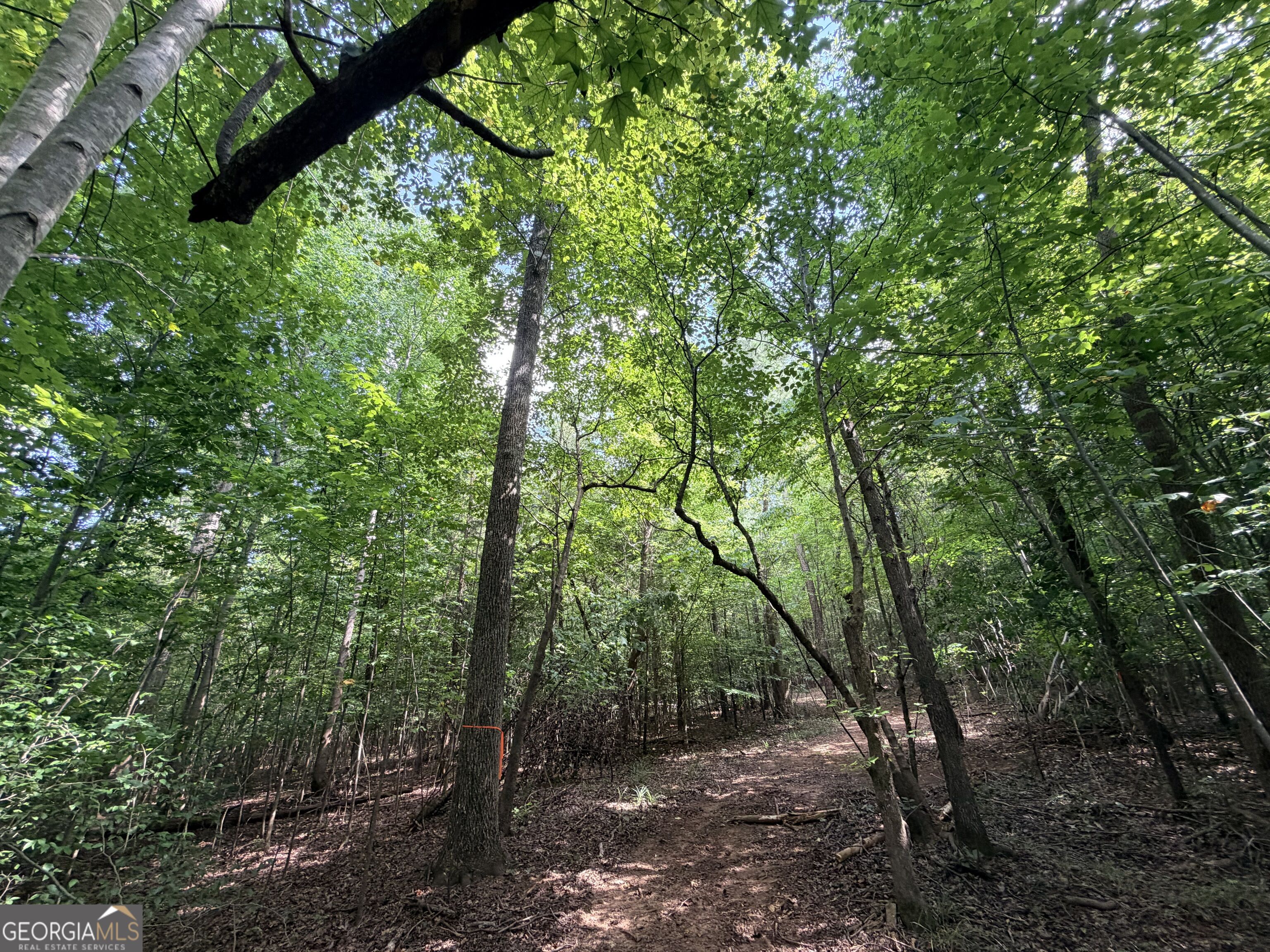 8 Bunch Road Tignall GA 30668