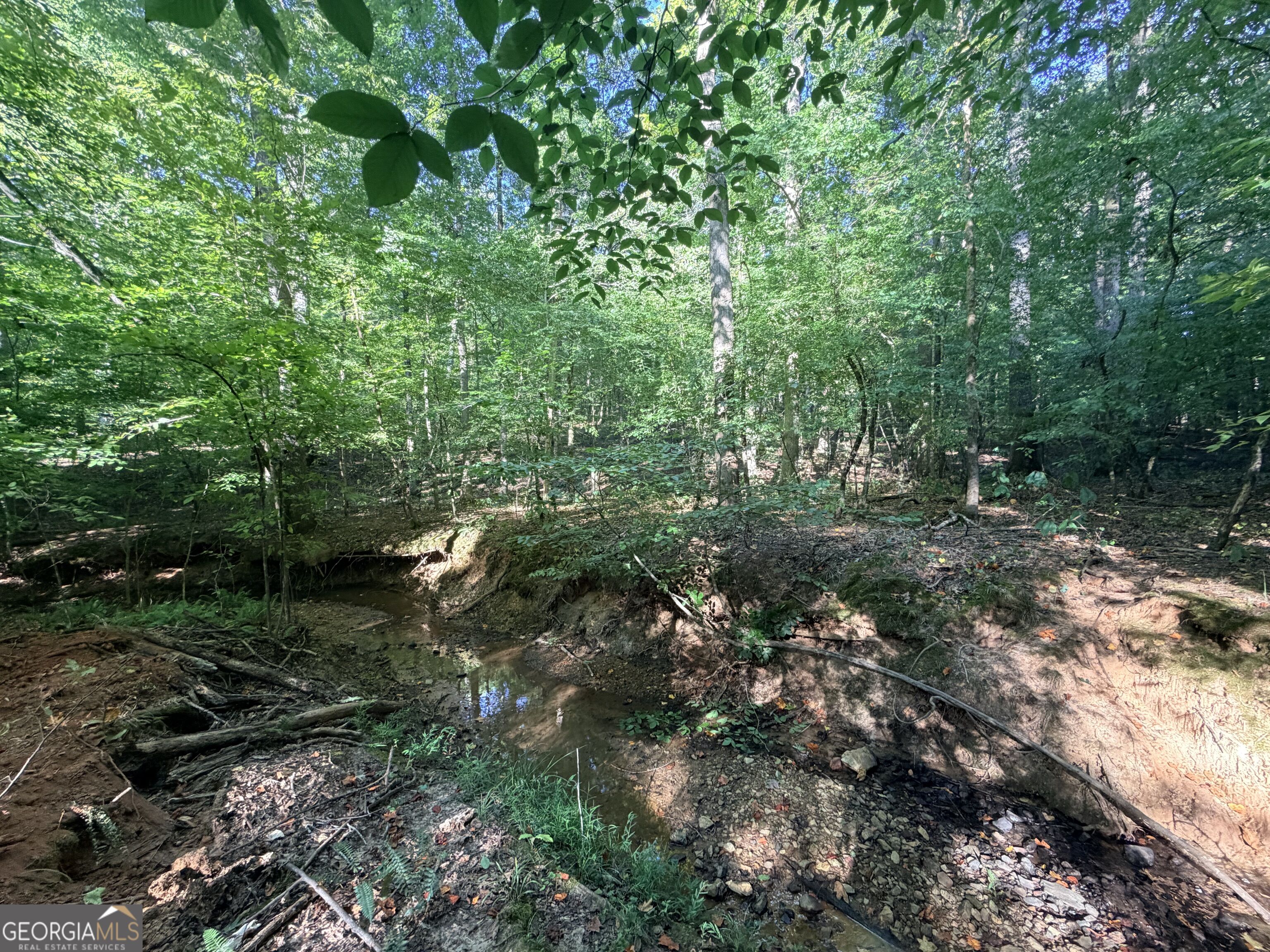 8 Bunch Road Tignall GA 30668