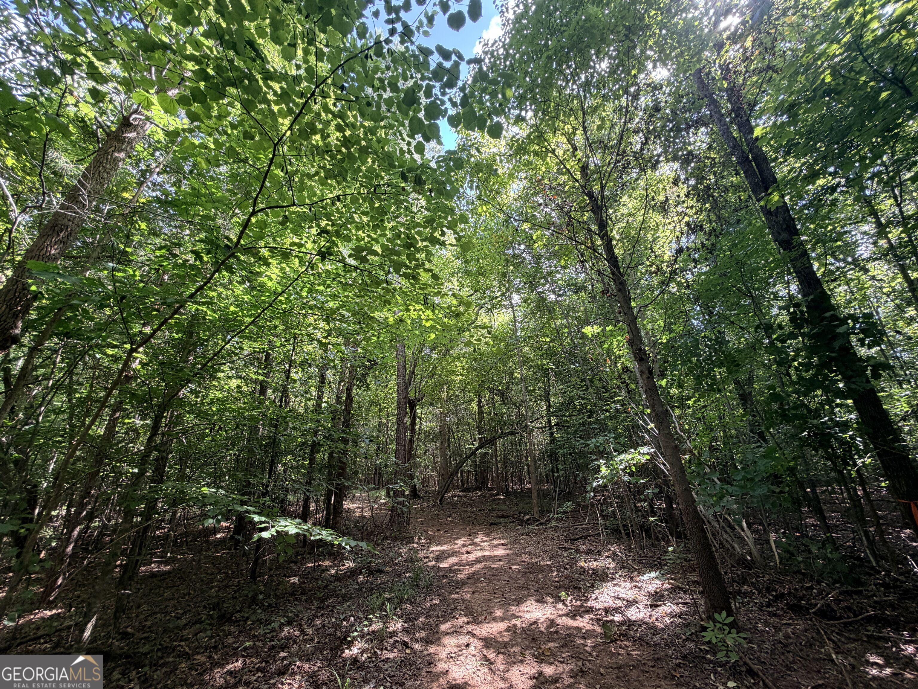 8 Bunch Road Tignall GA 30668