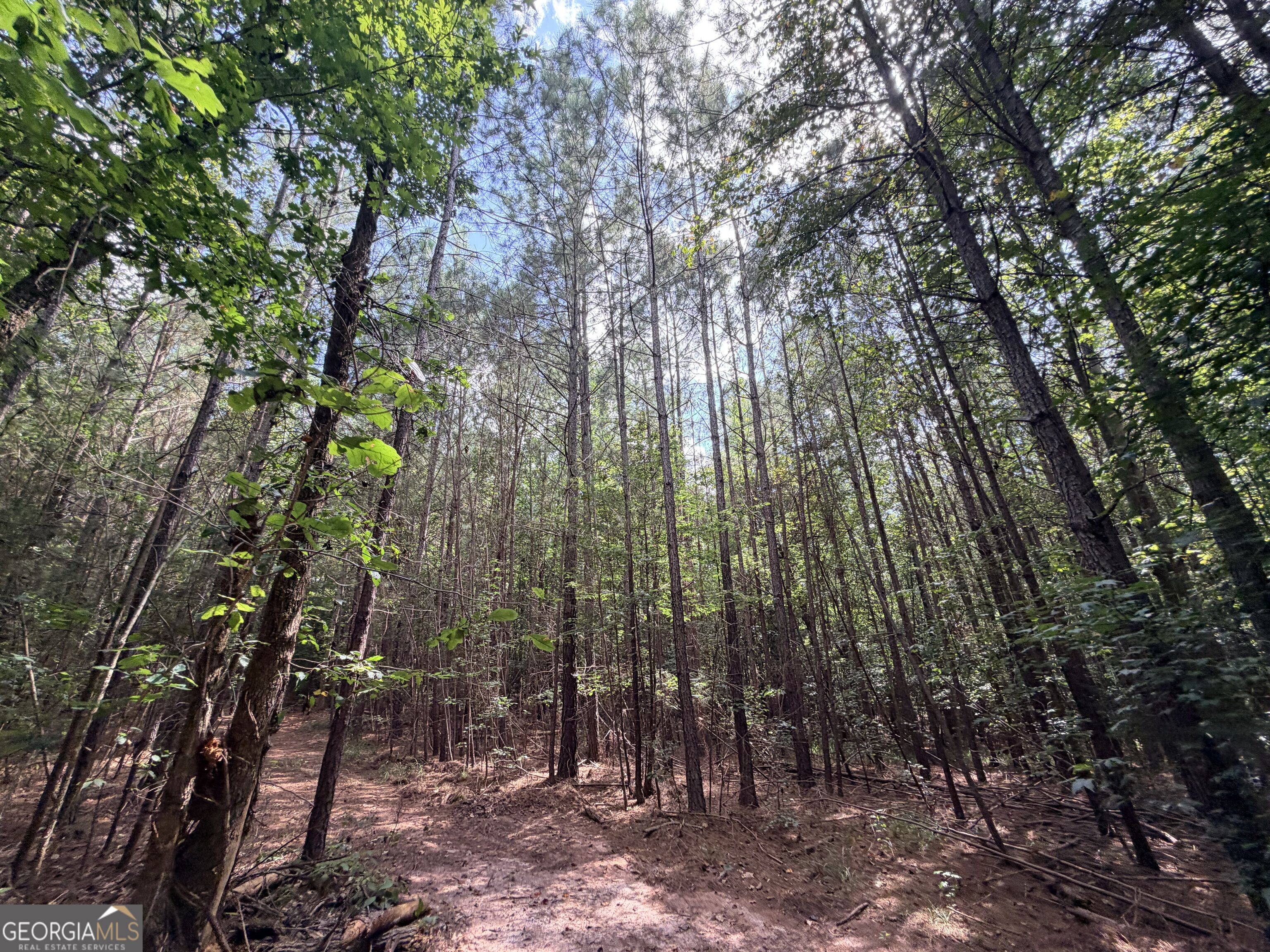8 Bunch Road Tignall GA 30668