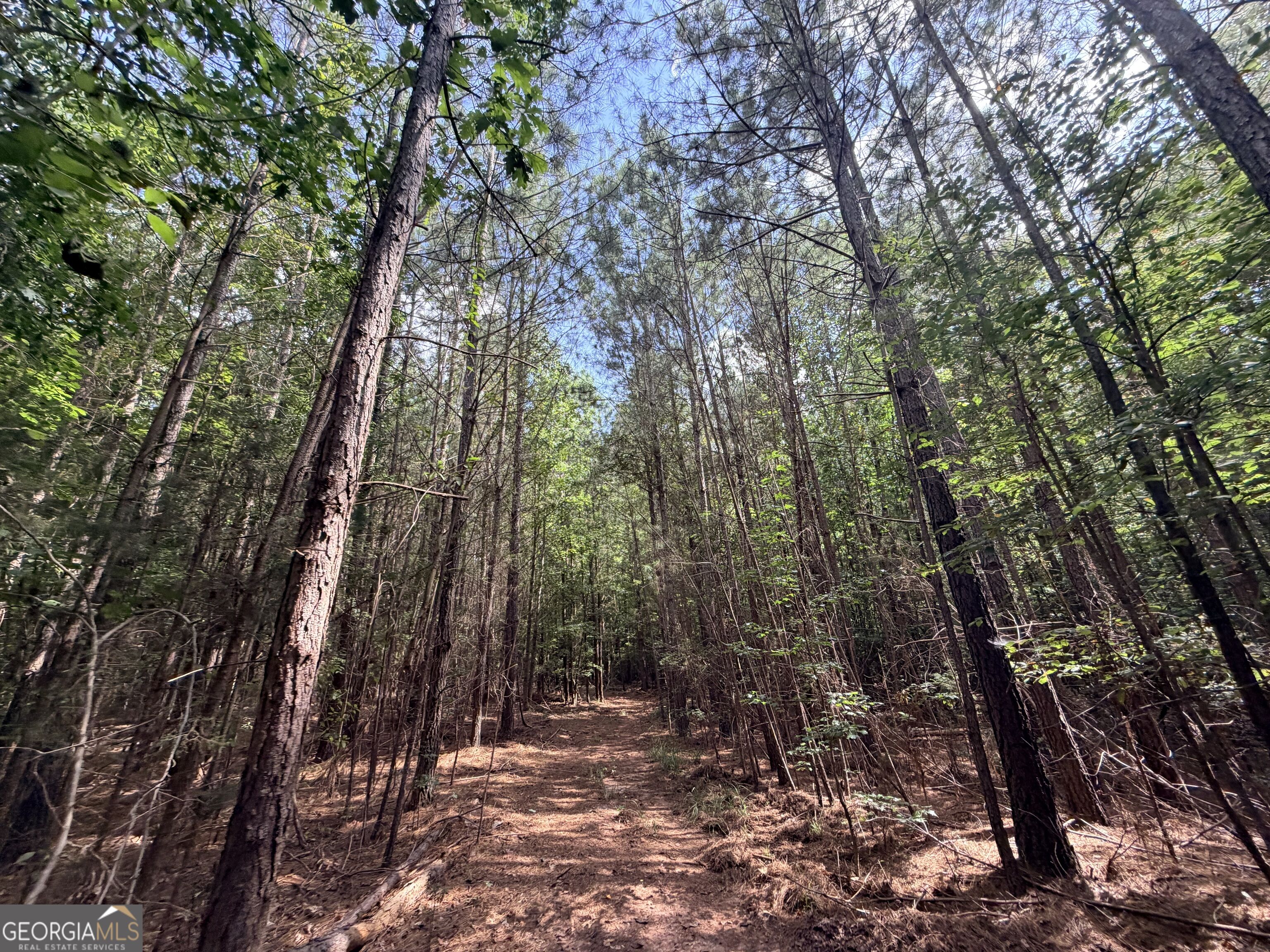 8 Bunch Road Tignall GA 30668