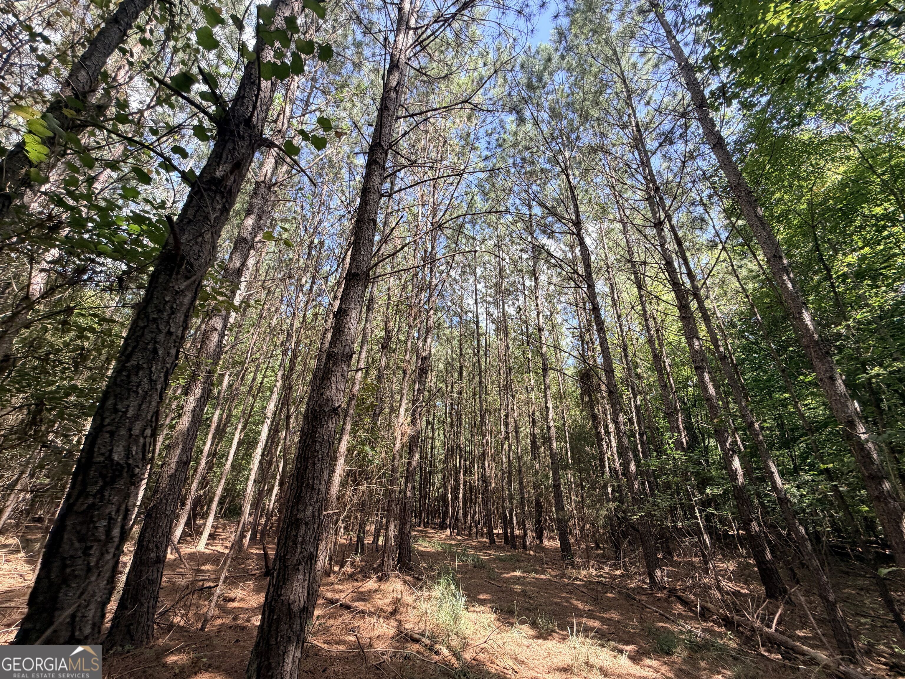 8 Bunch Road Tignall GA 30668