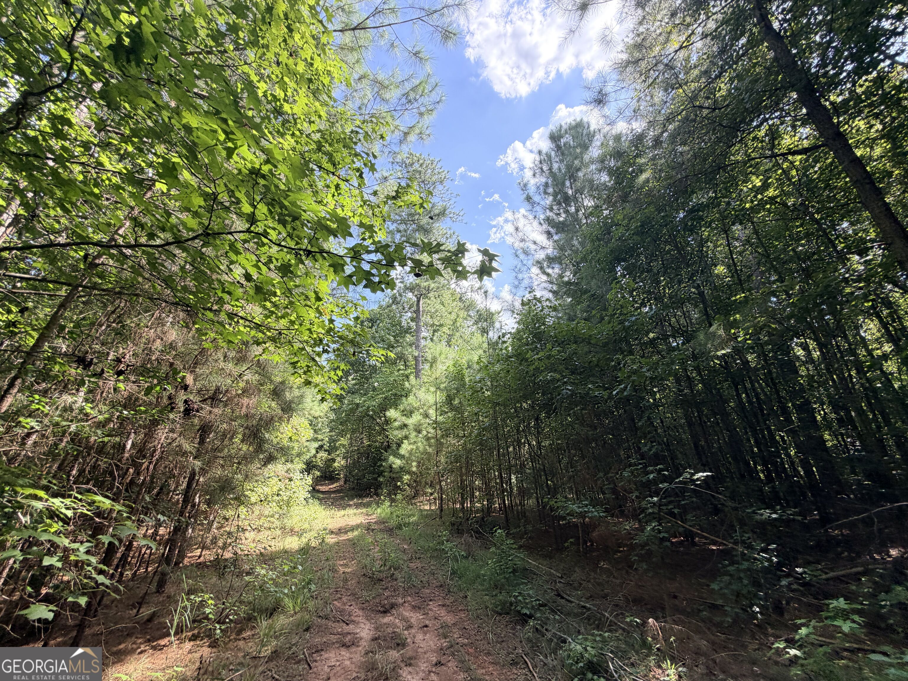 8 Bunch Road Tignall GA 30668
