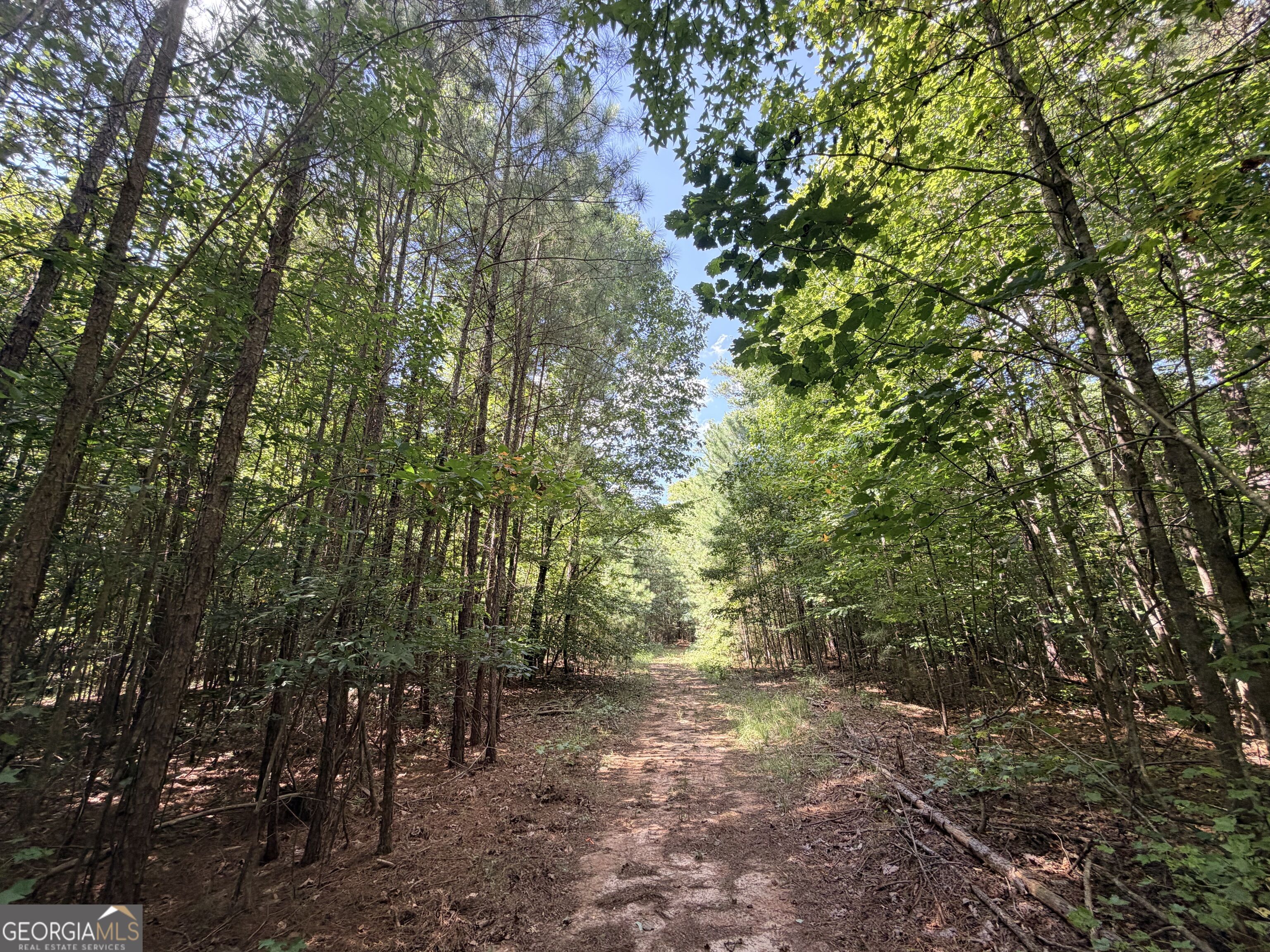 8 Bunch Road Tignall GA 30668