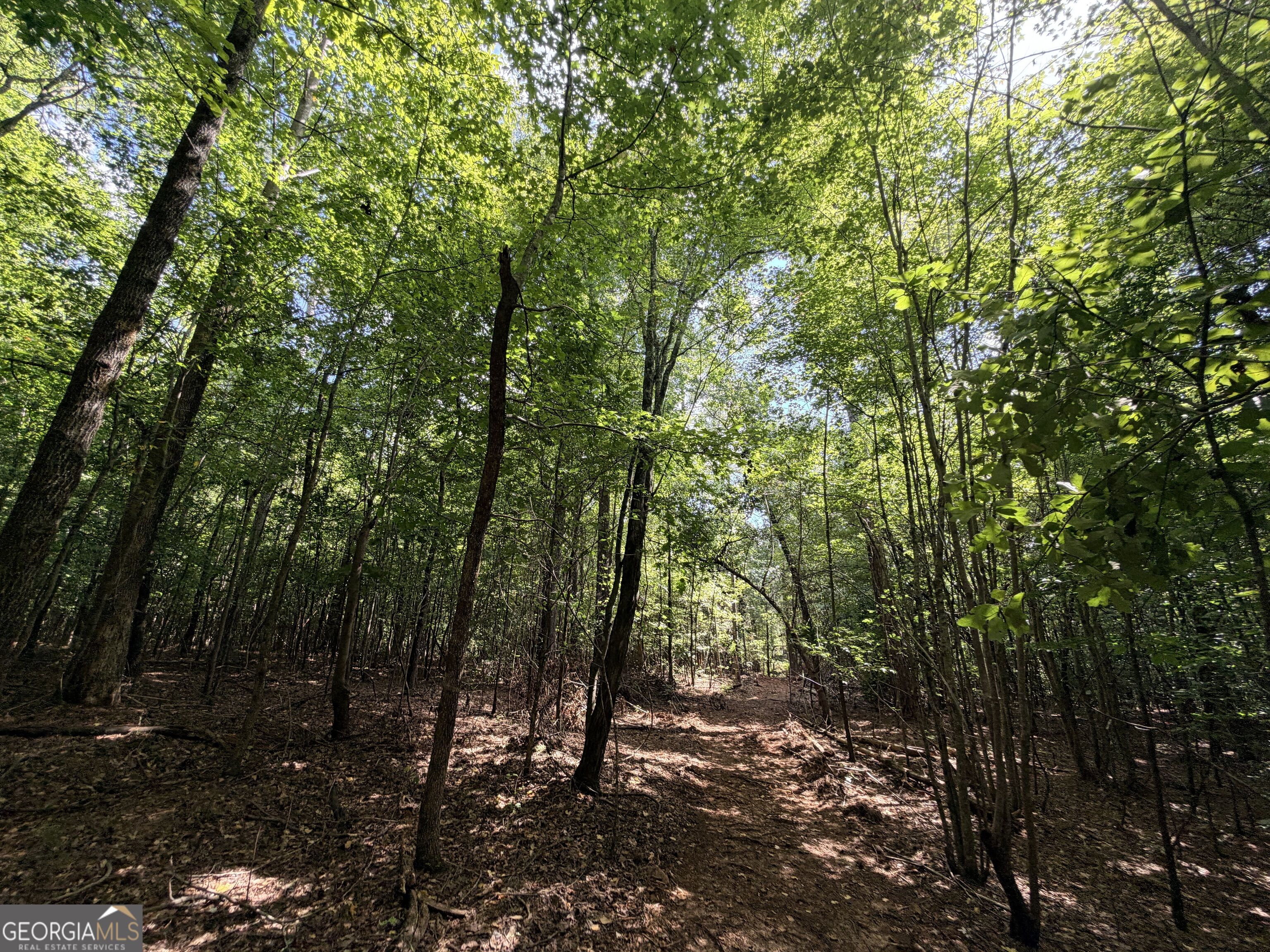 8 Bunch Road Tignall GA 30668