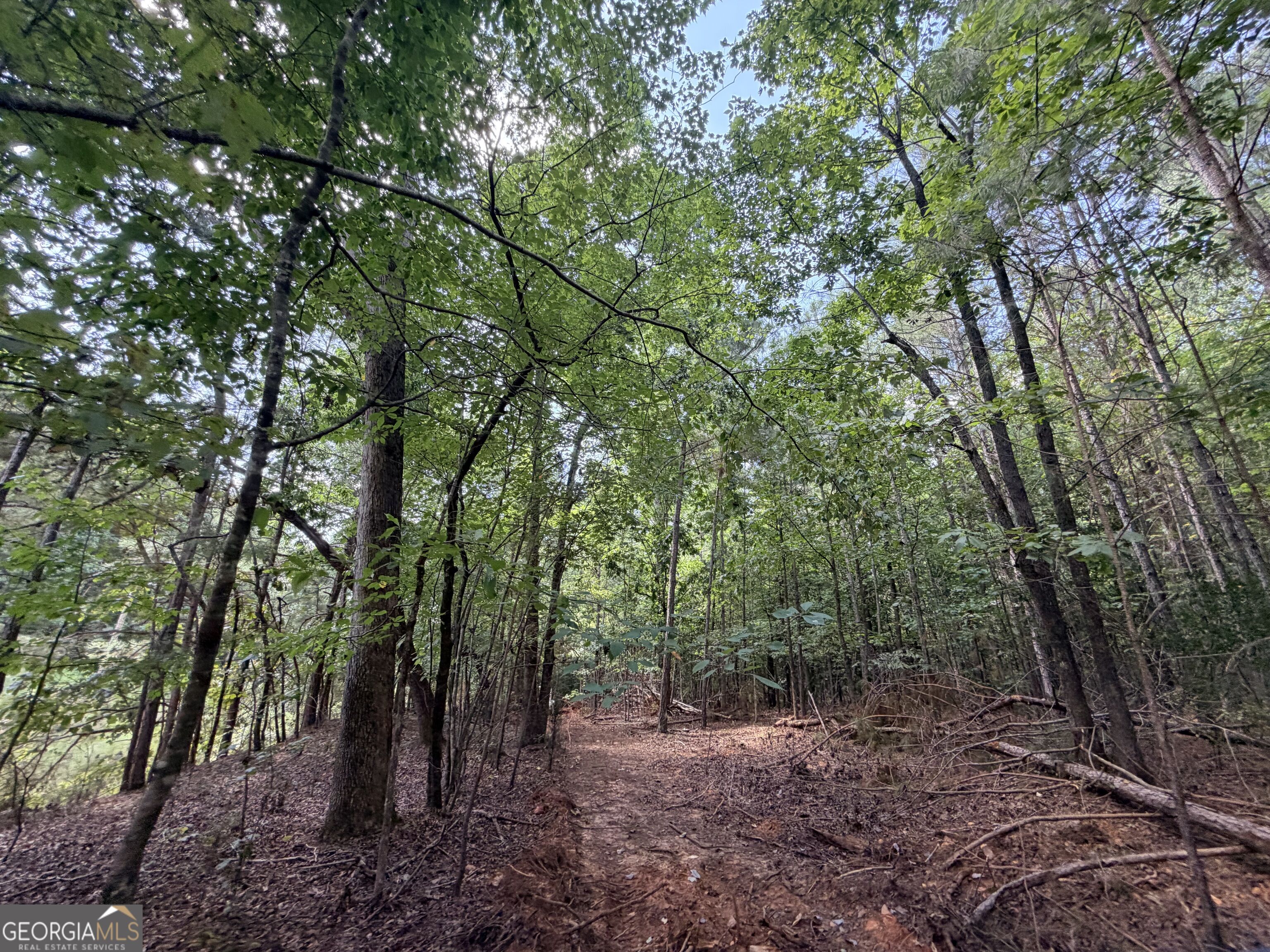 8 Bunch Road Tignall GA 30668