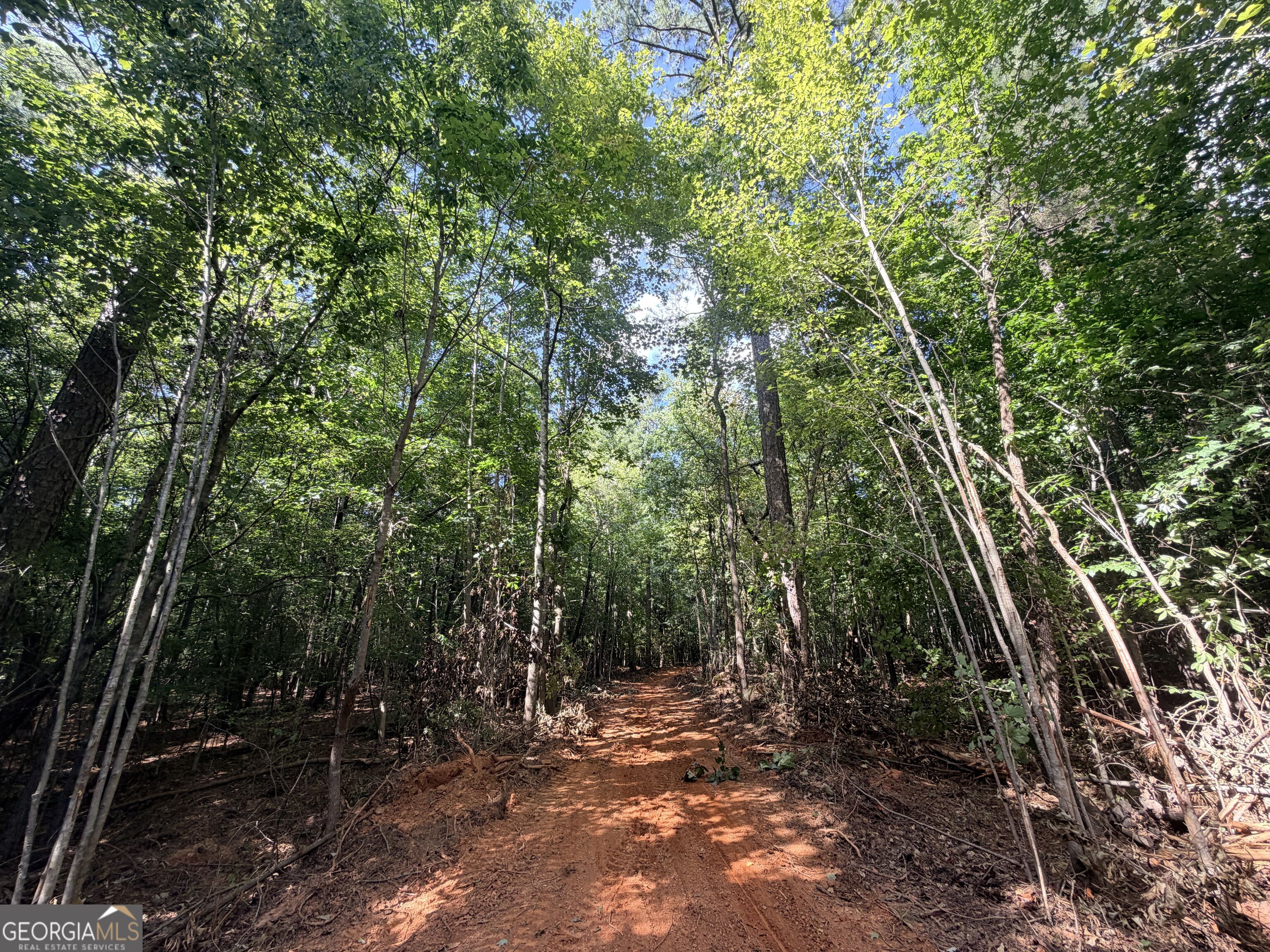 8 Bunch Road Tignall GA 30668